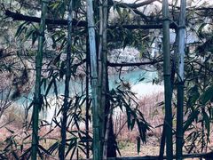 -缥缈峰景区