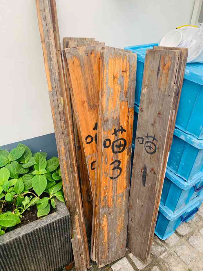 三月猫咖(平江店)-"猫咪的名字都挺个性的,全部很可爱「包子.