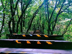 -帽儿山国家森林公园