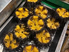 -福来齐·鲁菜海鲜·渔家菜(朝阳街分店)