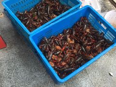 -日食记精菜馆(建邺万达店)