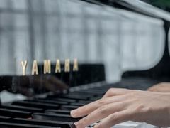 -Melody Mentor音乐私教馆(朝外·悠唐店)