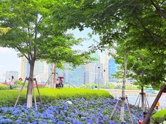 -北外滩滨江绿地