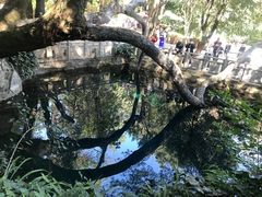 -蝴蝶泉公园