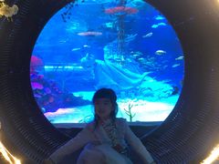 -沈阳海洋探索中心