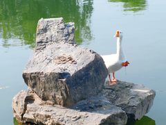 -徐霞客故居