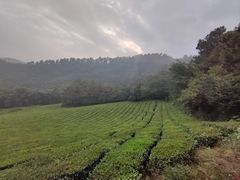 -敬亭山风景名胜区