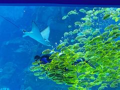 -威海华夏城景区