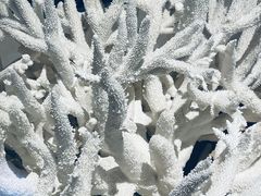 -天津自然博物馆
