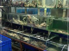 水产区-来之顺海鲜菜馆·青岛菜(栈桥店)