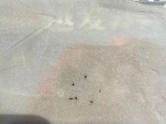 -洪福龙虾