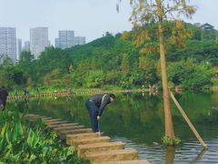 -重庆彩云湖湿地公园