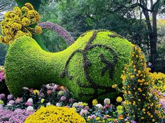 -杭州植物园
