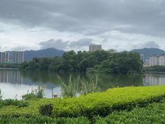 -飞来湖湿地公园