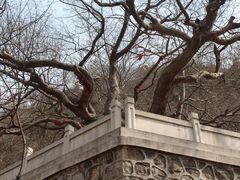 -青檀寺景区