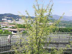 -梅峰山地公园