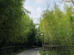 -苏州环秀晓筑养生度假村