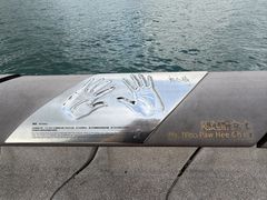 -星光大道