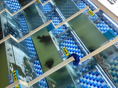 零售区-蔚海之都·象山蒸汽海鲜(仙霞路店)