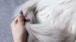 -PinkBaby美甲美睫