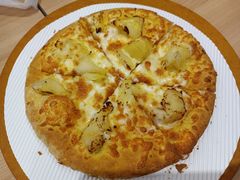 -达美乐比萨(北苑店)