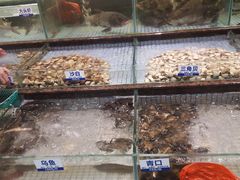 -新海利海鲜城·41年珠海老字号(夏湾店)