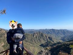 -大岭沟猕猴桃谷风景区