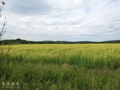 -御道口草原森林风景区