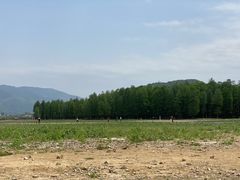 -四明湖