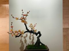 -广州人民艺术中心