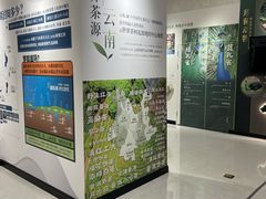-花之城