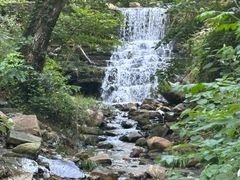 -素山寺森林公园