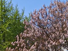 -北京西国贸大酒店