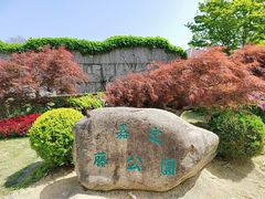 -嘉定紫藤园