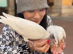 -王府井奥莱临潼小镇(临潼店)