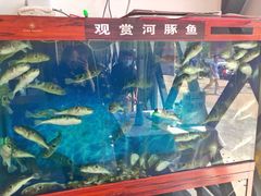 -肆月河豚·新淮扬(金融街店)