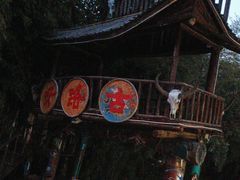 -呀路古热带植物园
