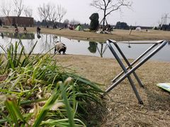 -夏河溪乡野公园