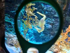 -沈阳海洋探索中心