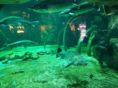 -华夏文旅海洋公园