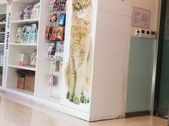 -瑞派申生动物医院·24H夜诊·国际动物医疗中心·骨外科(吴中路店)
