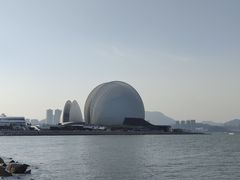 -野狸岛