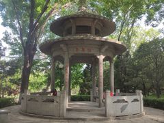 -玲珑塔公园