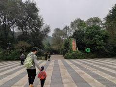 -都江堰中华大熊猫苑