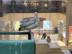 -新华书店(泉城路店)