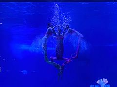 -烟台海昌鲸鲨海洋公园