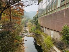 -宁海森林温泉