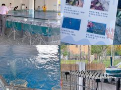 -SHRIMP CLUB万东餐饮钓虾·清吧