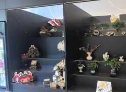 -哈妮皮肤管理中心