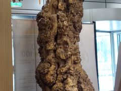 -东方红酒楼(知春路店)